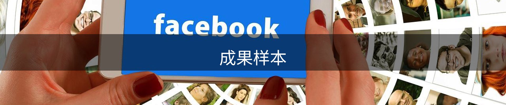 成果样本